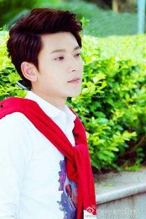 吴磊的照片大全萌的,照片大全中的青春魅力