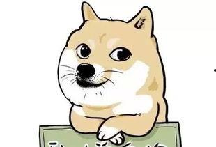 娱乐圈单身狗,揭秘明星们的单身生活