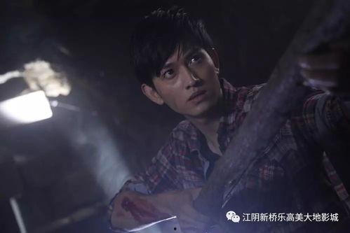 请勿靠近演员表,揭秘神秘演员背后的故事