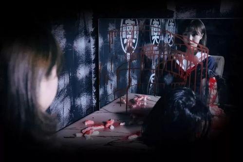 藤木病院鬼屋图片,揭秘恐怖背后的真实故事