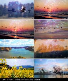 马頔 背景,从民谣歌手到音乐创作才子的蜕变之路