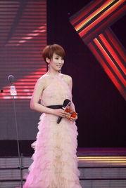 谢楠主持娱乐在线,揭秘明星幕后故事，畅谈娱乐圈风云变幻